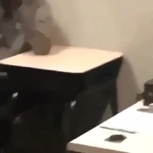 Random shit on my phone 131. Literally a bunch of random . Some may be cringe, some may be morbid, some may be ear rape and stupid as hell, some may make you qu